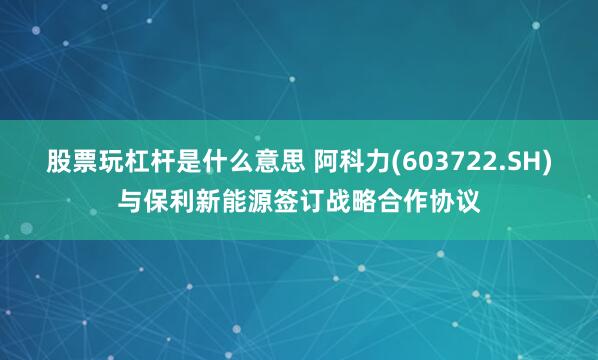 股票玩杠杆是什么意思 阿科力(603722.SH)与保利新能源签订战略合作协议