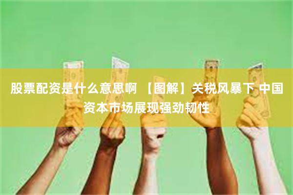 股票配资是什么意思啊 【图解】关税风暴下 中国资本市场展现强劲韧性