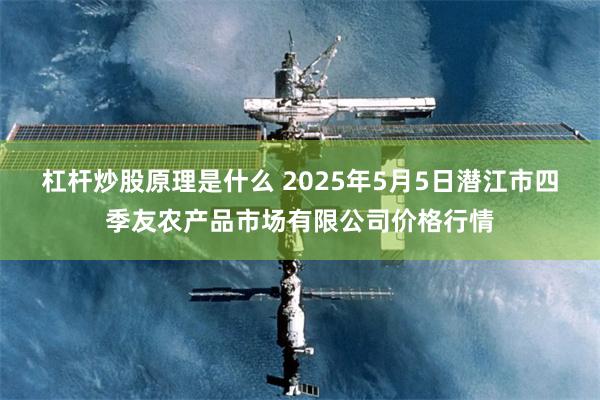 杠杆炒股原理是什么 2025年5月5日潜江市四季友农产品市场有限公司价格行情