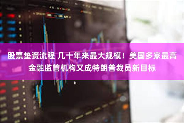 股票垫资流程 几十年来最大规模！美国多家最高金融监管机构又成特朗普裁员新目标