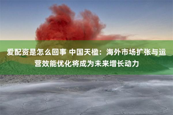 爱配资是怎么回事 中国天楹：海外市场扩张与运营效能优化将成为未来增长动力