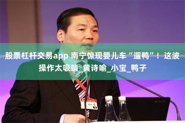 股票杠杆交易app 南宁惊现婴儿车“遛鸭”！这波操作太吸睛_黄诗喻_小宝_鸭子