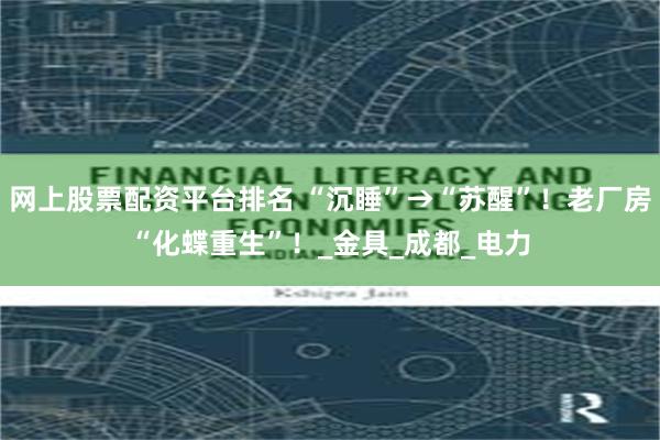 网上股票配资平台排名 “沉睡”→“苏醒”！老厂房“化蝶重生”！_金具_成都_电力