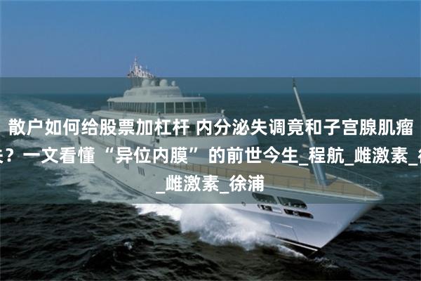 散户如何给股票加杠杆 内分泌失调竟和子宫腺肌瘤有关？一文看懂 “异位内膜” 的前世今生_程航_雌激素_徐浦