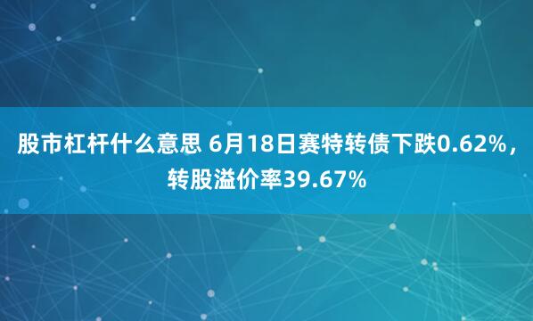 股市杠杆什么意思 6月18日赛特转债下跌0.62%，转股溢价率39.67%
