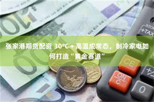 张家港期货配资 30℃＋高温成常态，制冷家电如何打造“黄金赛道”