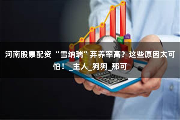 河南股票配资 “雪纳瑞”弃养率高？这些原因太可怕！_主人_狗狗_那可