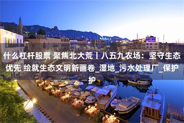 什么杠杆股票 聚焦北大荒丨八五九农场：坚守生态优先 绘就生态文明新画卷_湿地_污水处理厂_保护